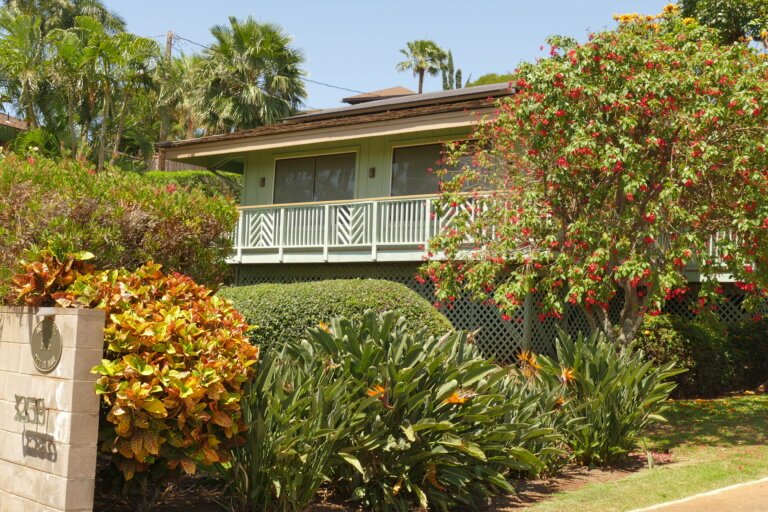 Private yard space